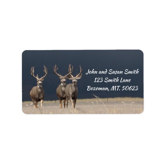 Étiquette de adresse à trois Mule Deer Bucks (Devant)
