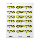 Étiquette de adresse Anniversaire - Cupcake Vert E (Feuille entière)