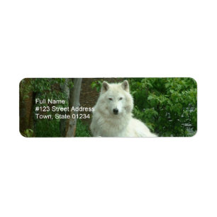 Étiquette de adresse arctique de retour de loup