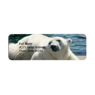 Étiquette de adresse arctique de retour d'ours