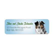Étiquette de adresse Aussie Blue Merle