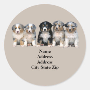 Étiquette de adresse australien de chiots de