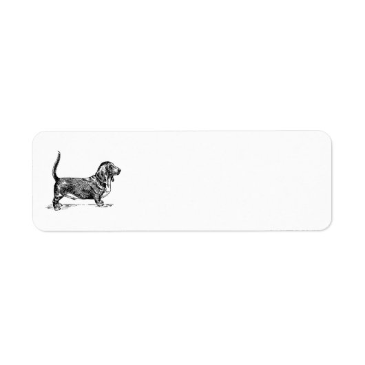 étiquette de adresse basset hound (Devant)