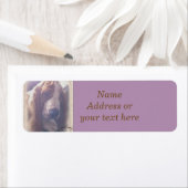 Étiquette de adresse Basset Hound (En situation)