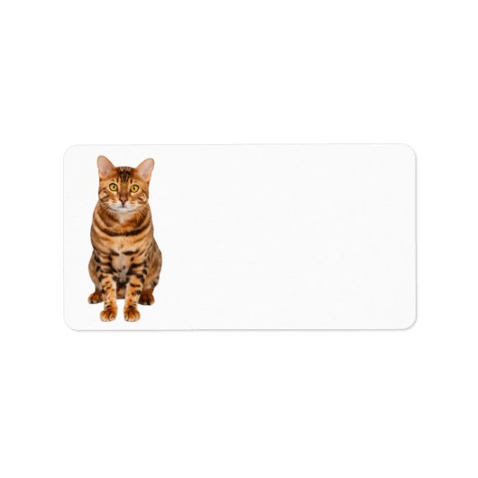 Étiquette de adresse Bengal Kitten personnalisable (Devant)