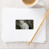 Étiquette de adresse blanc (En situation)