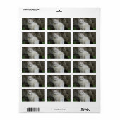 Étiquette de adresse blanc (Feuille entière)