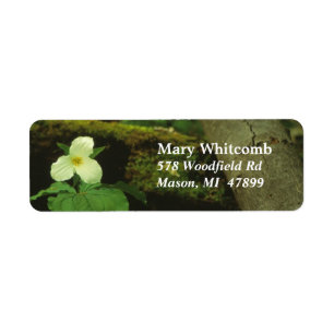 Étiquette de adresse blanc de fleur en bois
