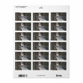 Étiquette de adresse Blue Jay (Feuille entière)