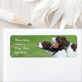 Étiquette de adresse breton (En situation)