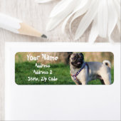 Étiquette de adresse carlin (En situation)