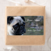 Étiquette de adresse carlin (En situation)