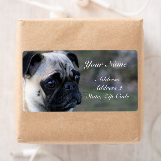 Étiquette de adresse carlin (En situation)