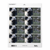 Étiquette de adresse carlin (Feuille entière)