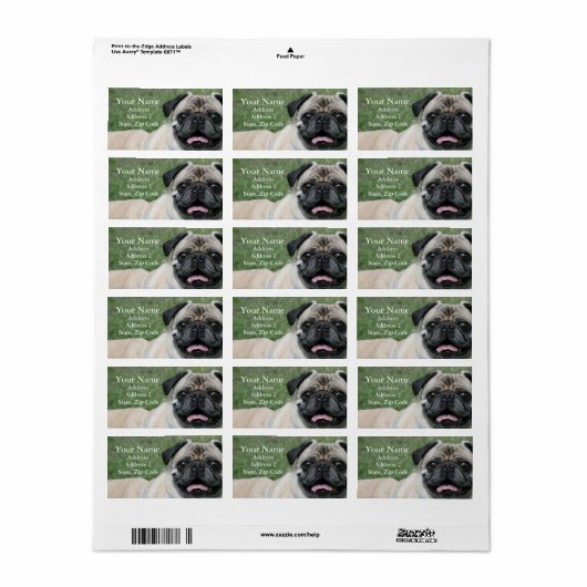 Étiquette de adresse carlin (Feuille entière)