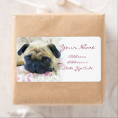 Étiquette de adresse carlin (En situation)