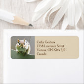 Étiquette de adresse Cute Chipmunk (En situation)