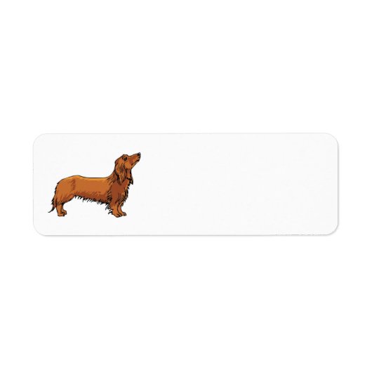 Étiquette de adresse Dachshund (Devant)