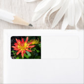 Étiquette de adresse Dahlia (En situation)