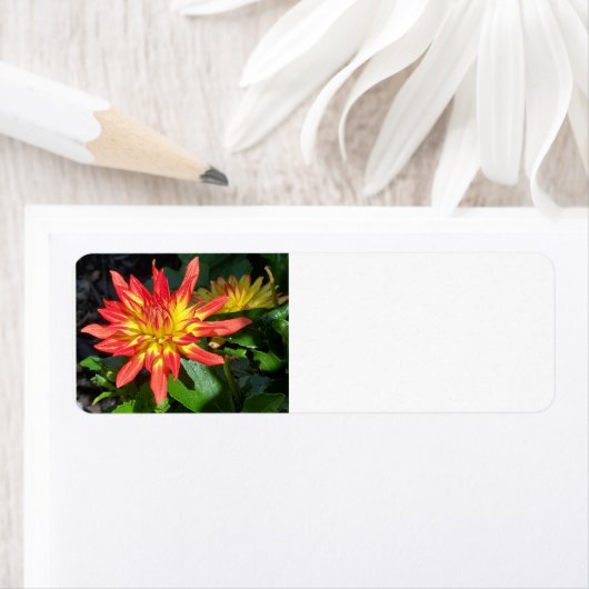 Étiquette de adresse Dahlia (En situation)