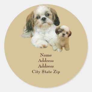 Étiquette de adresse d'amis de Shih Tzu