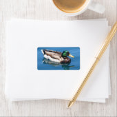 Étiquette de adresse de canard mâle (En situation)