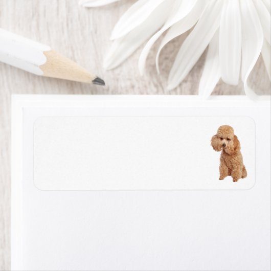 Étiquette de adresse de canicules (En situation)