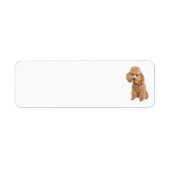 Étiquette de adresse de canicules (Devant)