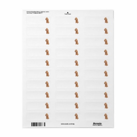 Étiquette de adresse de canicules (Feuille entière)