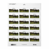 Étiquette de adresse de chat et d'oiseaux caricatu (Feuille entière)