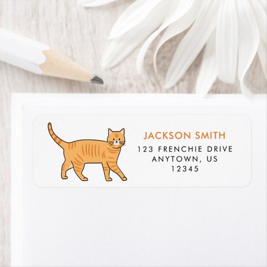 Étiquette de adresse de chat Tabby Orange (En situation)