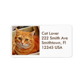 Étiquette de adresse de chat Tabby Orange (Devant)