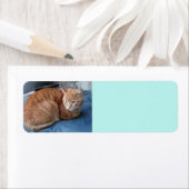 Étiquette de adresse de chats beige (En situation)