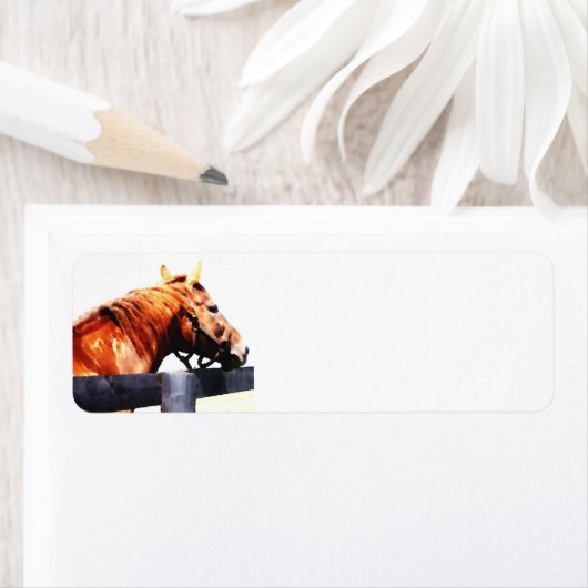 Étiquette de adresse de cheval Thoroughbred (En situation)