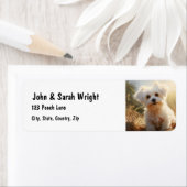 Étiquette de adresse de chien maltais mignon perso (En situation)