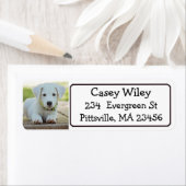 Étiquette de adresse de chien ou d'animal de compa (En situation)