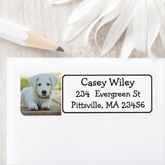 Étiquette de adresse de chien ou d'animal de compa (En situation)