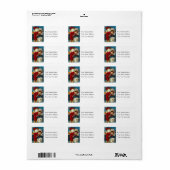 Étiquette de adresse de cru de beaucoup de paquets (Feuille entière)