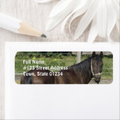 Étiquette de adresse de Dark Bay Thoroughbred (En situation)