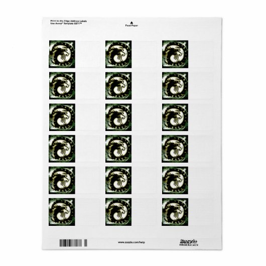 Étiquette de adresse de dragon (Feuille entière)