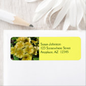 Étiquette de adresse de fleurs de Primrose jaune (En situation)