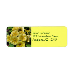 Étiquette de adresse de fleurs de Primrose jaune