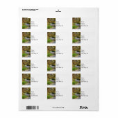 Étiquette de adresse de flux de ressort Hodgson (Feuille entière)