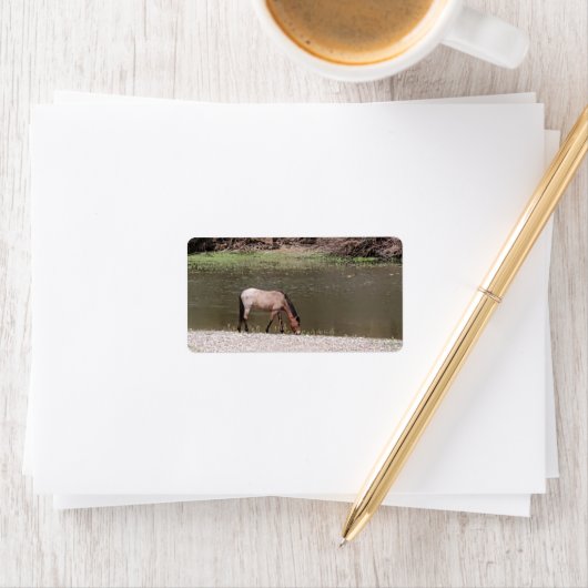 Étiquette de adresse de la collection de chevaux s (En situation)