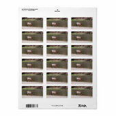 Étiquette de adresse de la collection de chevaux s (Feuille entière)