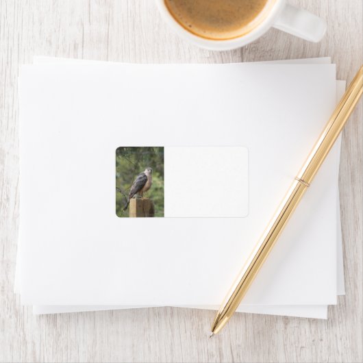 Étiquette de adresse de la Hawk de Cooper (En situation)