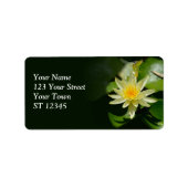 Étiquette de adresse de Lys d'eau (Devant)