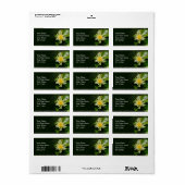 Étiquette de adresse de Lys d'eau (Feuille entière)