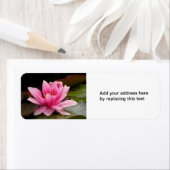 Étiquette de adresse de Lys d'eau (En situation)