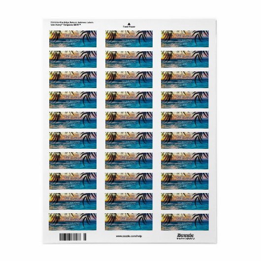 Étiquette de adresse de plage Sunset String Lights (Feuille entière)